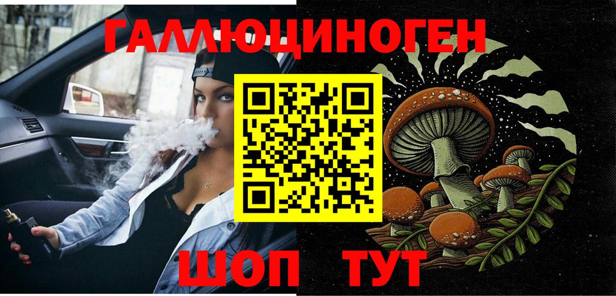 Красногорск  купить закладку  Вход с VPN  Псилоцибиновые грибы Magic Shrooms  Галлюциногенные грибы Psilocybe 