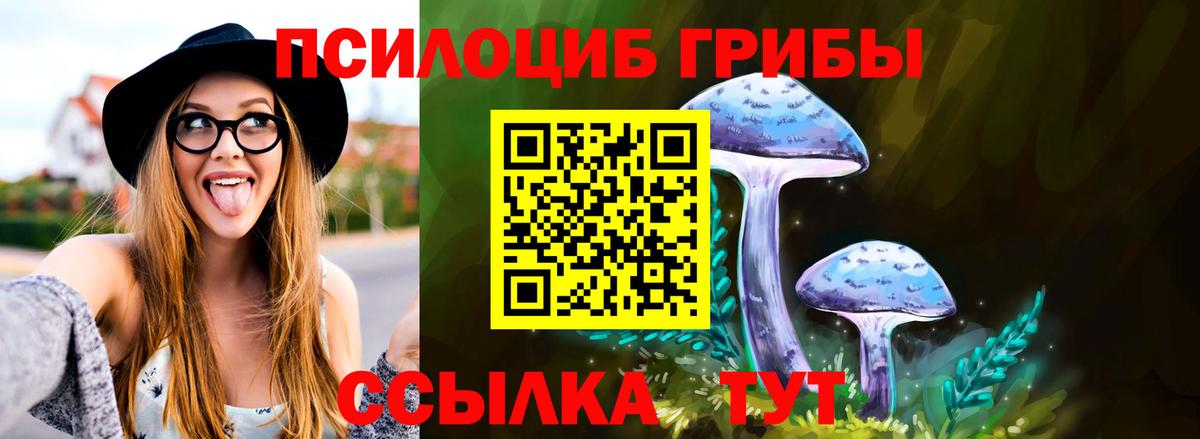 Галлюциногенные грибы Cubensis Красногорск